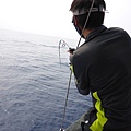 20140426bonito12.jpg