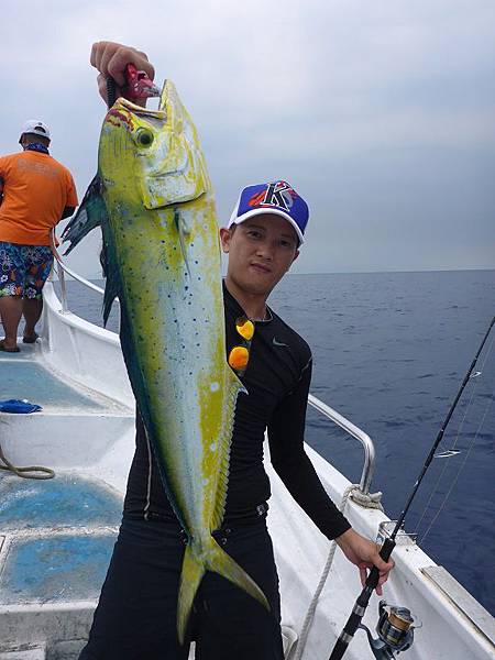 20140628tuna11.jpg