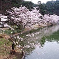須阪．臥龍公園