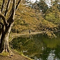 karuizawa_10.jpg