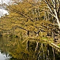 karuizawa_13.jpg