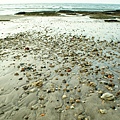 DSC08164小石子與波紋排列出一幅美麗的畫