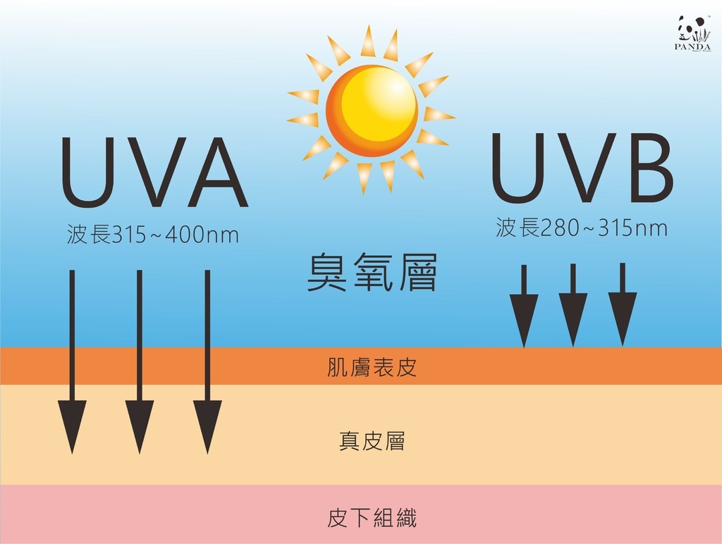 sun_紫外線種類.jpg sun_紫外線種類.jpg