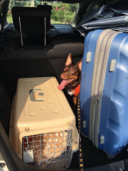 IMG_3447.JPG IMG_3447.JPG