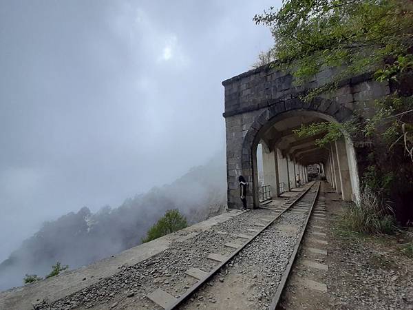 嘉義,阿里山,眠月線,鐵道,森林鐵道,森林鐵路,鐵路秘境,台灣一葉蘭保留區,露營,石猴車站,眠月車站,帳篷,瀑布,公園,遊樂園,嘉義景點