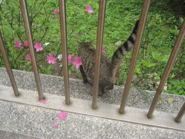 不給拍臉,回宿舍