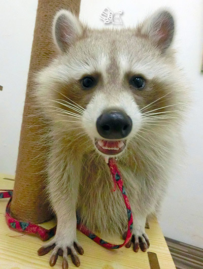 1CIMG0506讚_.jpg 1CIMG0506讚_.jpg