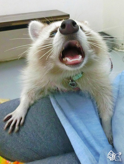 CIMG0402撈_.jpg CIMG0402撈_.jpg