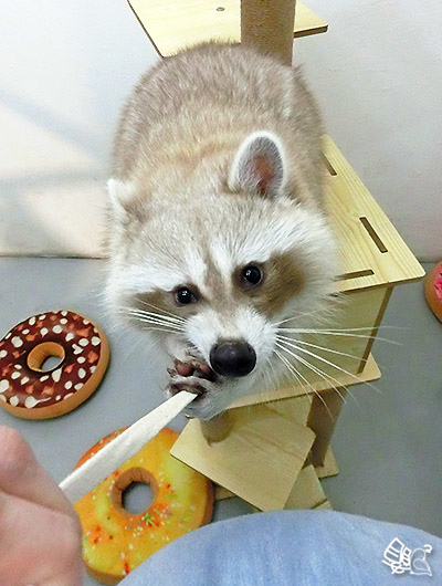 CIMG0467拉.jpg CIMG0467拉.jpg