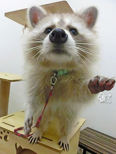 CIMG0381優_.jpg CIMG0381優_.jpg