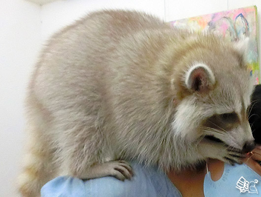 CIMG0438.jpg CIMG0438.jpg