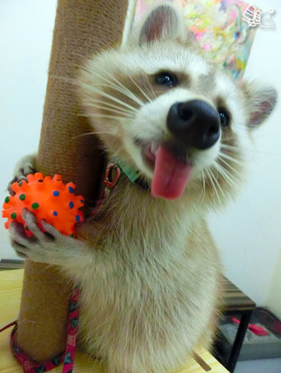 CIMG0490舌.jpg CIMG0490舌.jpg