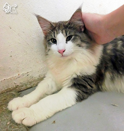 dCIMG0411可.jpg dCIMG0411可.jpg