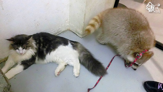 dCIMG0417.jpg dCIMG0417.jpg