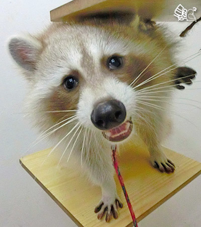 CIMG0470讚_.jpg CIMG0470讚_.jpg