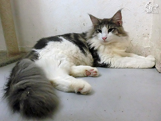 dCIMG0477.jpg dCIMG0477.jpg