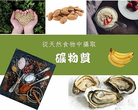 礦物質-食物來源.jpg