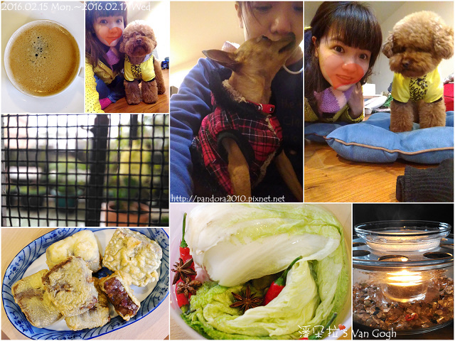 2016.02.17-Pandora's Life.jpg 2016.02.17-Pandora's Life.jpg