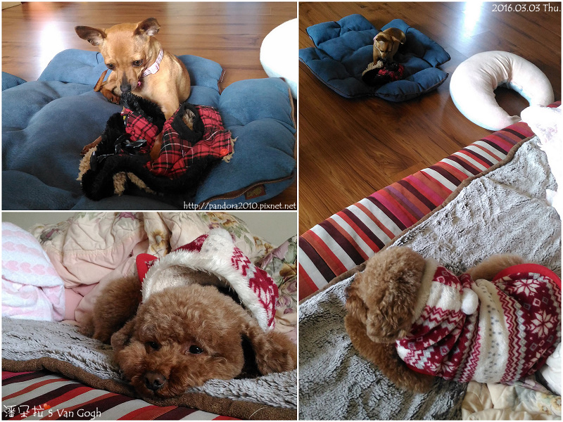 2016.03.03-Pandora's Life.jpg 2016.03.03-Pandora's Life.jpg