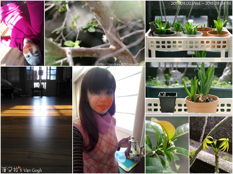 2016.03.04-Pandora's Life.jpg 2016.03.04-Pandora's Life.jpg