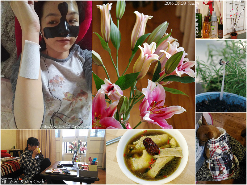 2016.03.08-Pandora's Life.jpg 2016.03.08-Pandora's Life.jpg