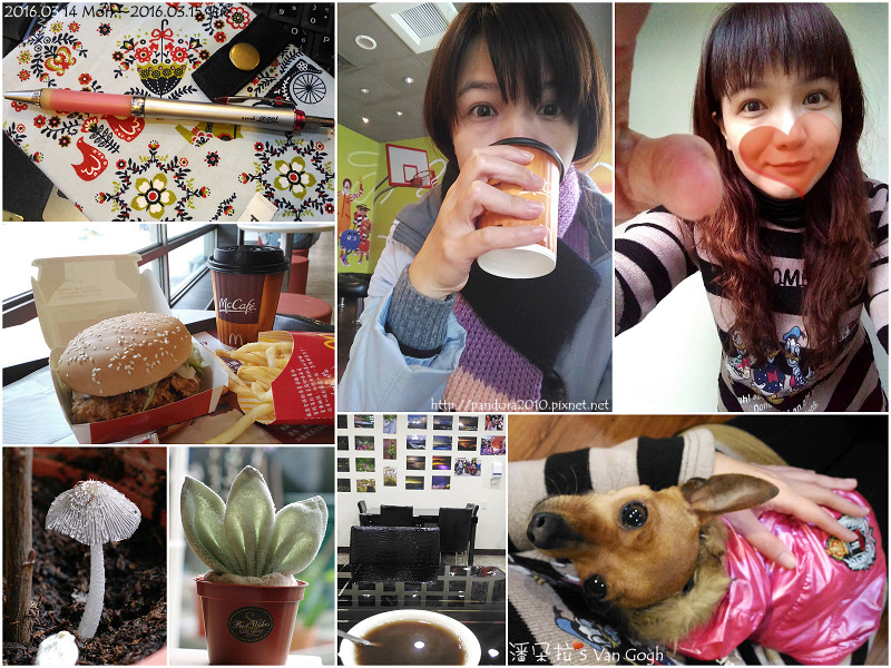 2016.03.15-Pandora's Life.jpg 2016.03.15-Pandora's Life.jpg