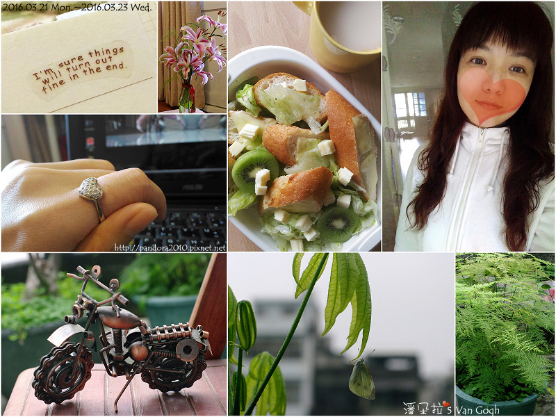 2016.03.23-Pandora's Life.jpg 2016.03.23-Pandora's Life.jpg