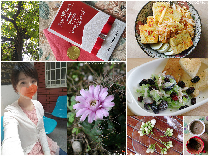 2016.05.02-Pandora's Life.jpg 2016.05.02-Pandora's Life.jpg
