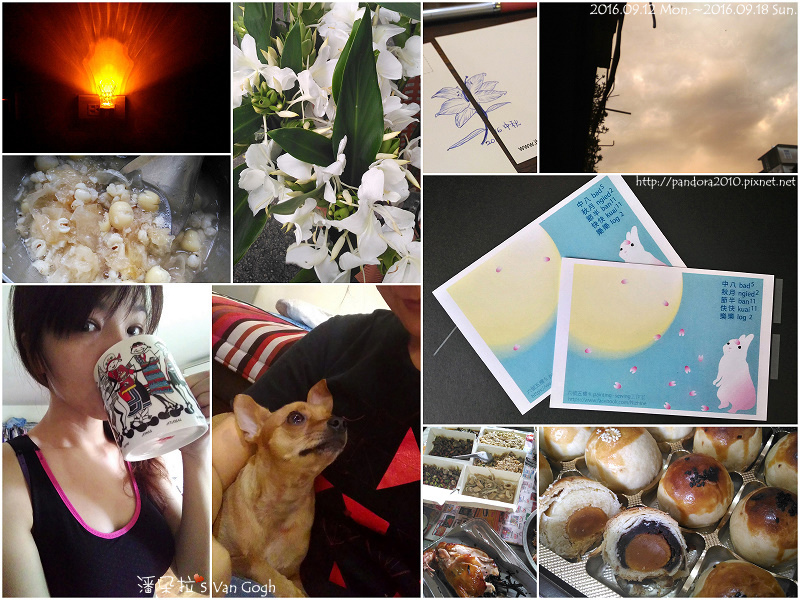 2016.09.18-Pandora's World.jpg 2016.09.18-Pandora's World.jpg