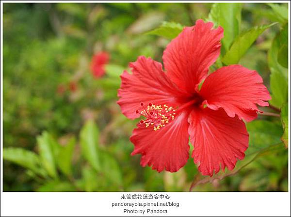 DSC04852 DSC04852