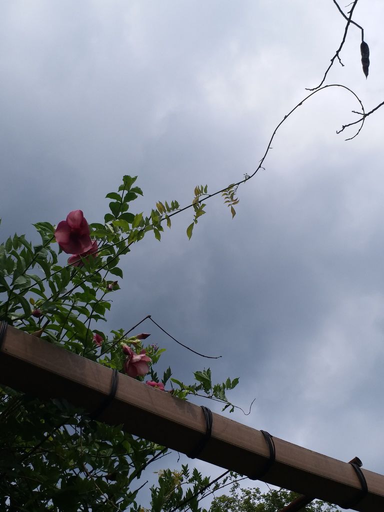 gplus-388758374.jpg gplus-388758374.jpg