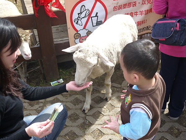 馬麻餵食給磊磊看