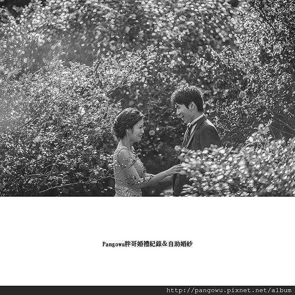 胖哥自助婚紗-婚禮紀錄-新娘秘書-5168.jpg