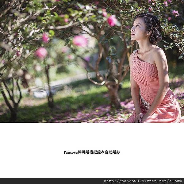 胖哥自助婚紗-婚禮紀錄-新娘秘書-5175.jpg