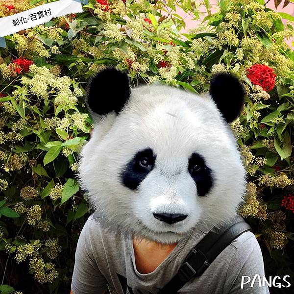 2019_01_01_190101_0056.jpg 2019_01_01_190101_0056.jpg