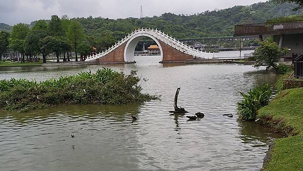 大湖公園一奇景