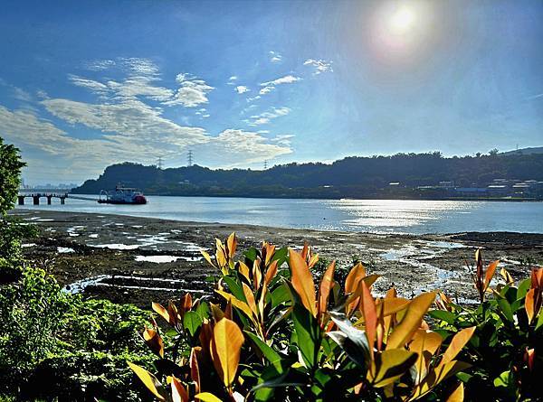 關渡水岸漫步什記