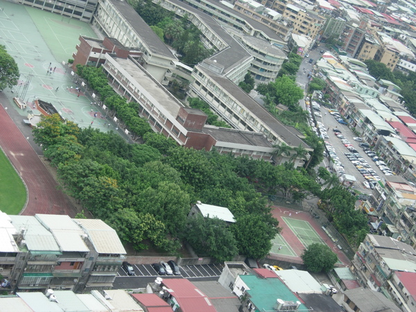 樹海旁閒置停車位