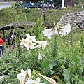 20100306 089.jpg