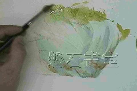 大白菜 水彩示範教學