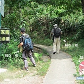 鳳園蝴蝶嘉年華2013暨香港蝴蝶保育日