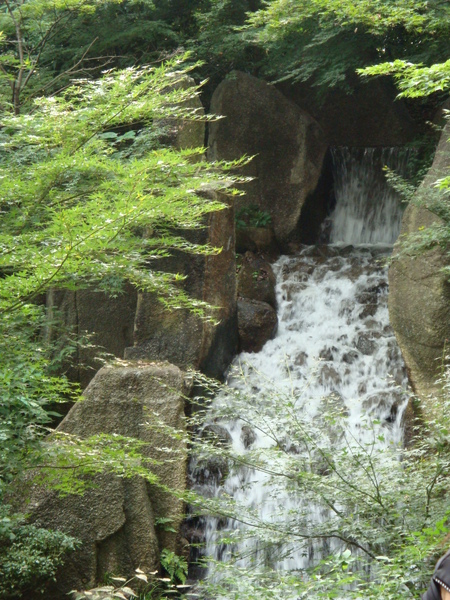DSC00488.JPG