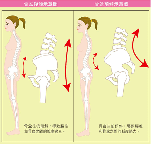 骨盆矯正一點都不難 潘老師經絡瑜珈骨盆脊椎體態矯正 Make You Happy 痞客邦 骨盆矯正一點都不難 潘老師經絡瑜珈骨盆脊椎體態矯正 Make You Happy 痞客邦