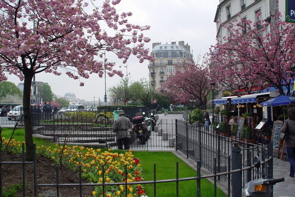 Rue du Petit Pont的小公園