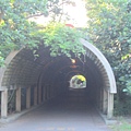 花架隧道