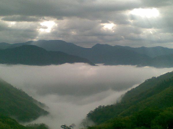 雲海.菜園.採咖啡 006.jpg