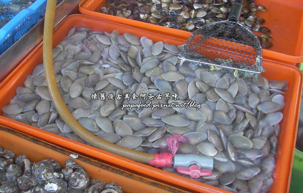 海瓜子.jpg 海瓜子.jpg