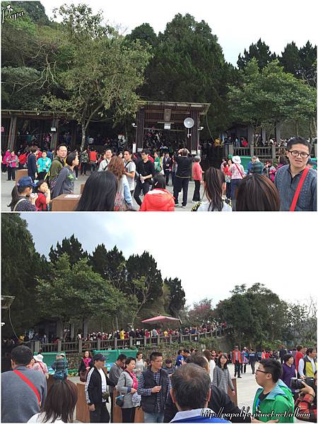 IMG_1924.JPG IMG_1924.JPG