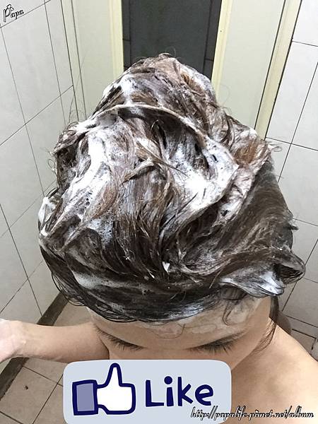 IMG_3291.JPG IMG_3291.JPG