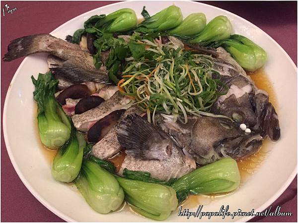 IMG_4323.JPG IMG_4323.JPG